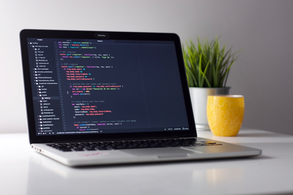 WEB開発
